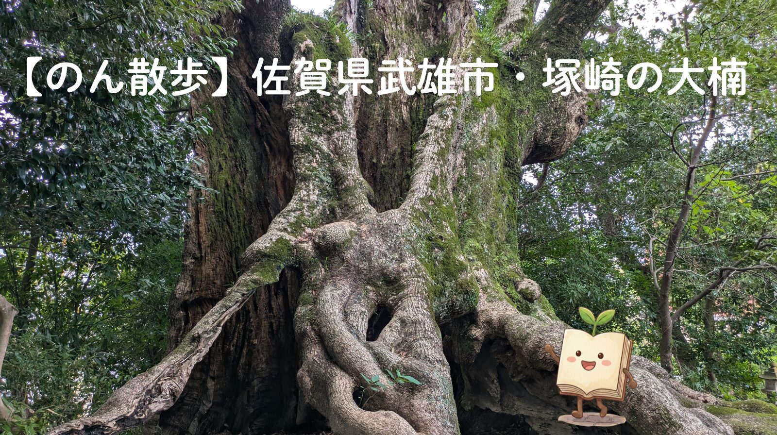 【のん散歩】佐賀県武雄市・塚崎の大楠